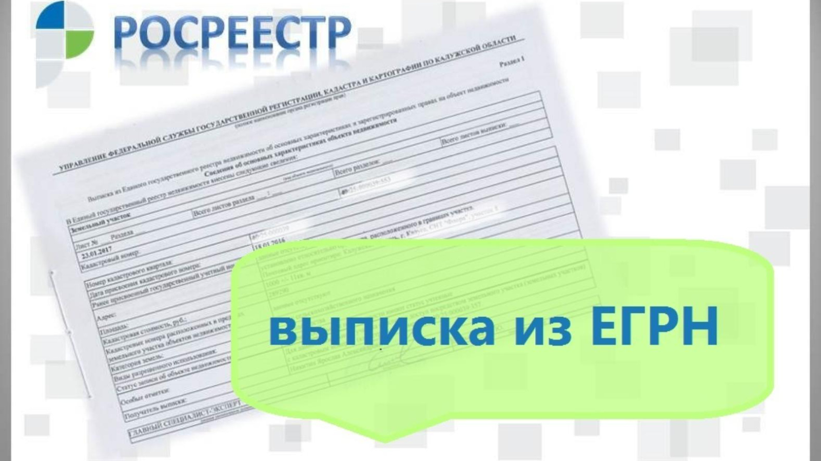 Стоимость выписки из ЕГРН.