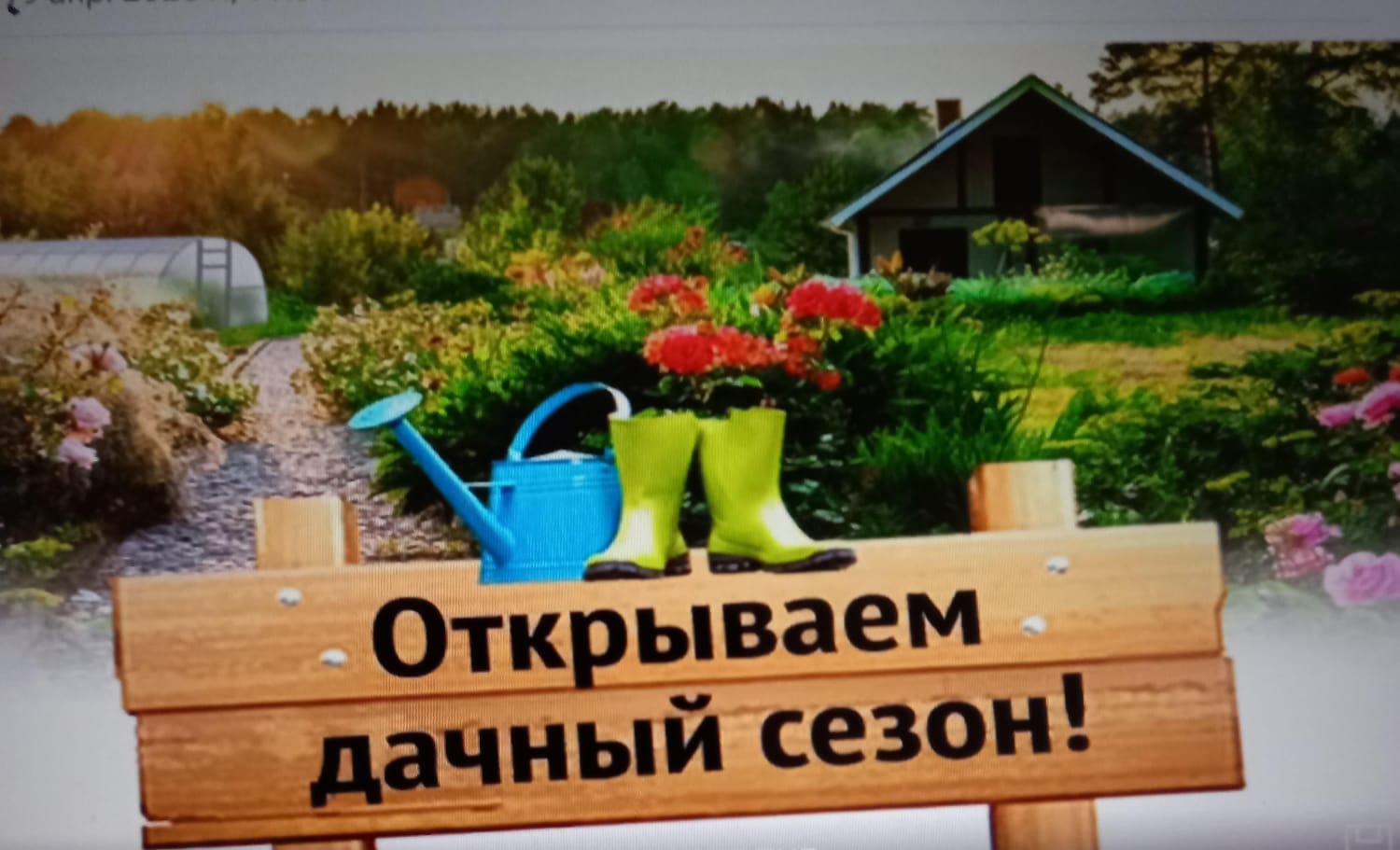 Открываем дачный сезон.