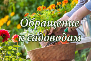 Отключение воды!