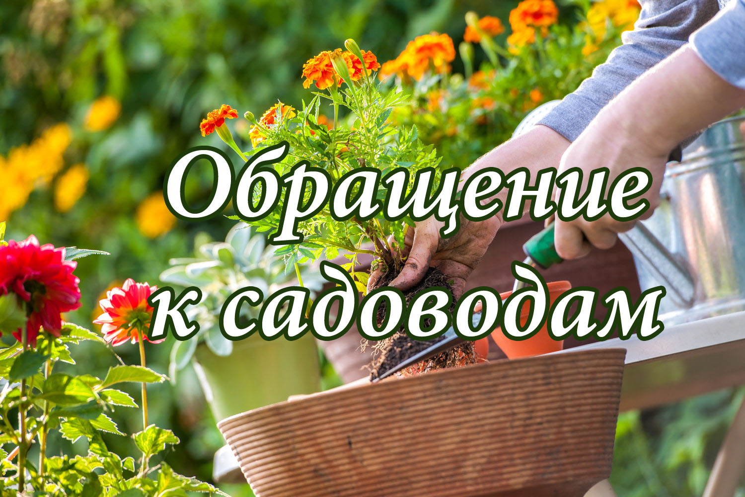 Отключение воды!